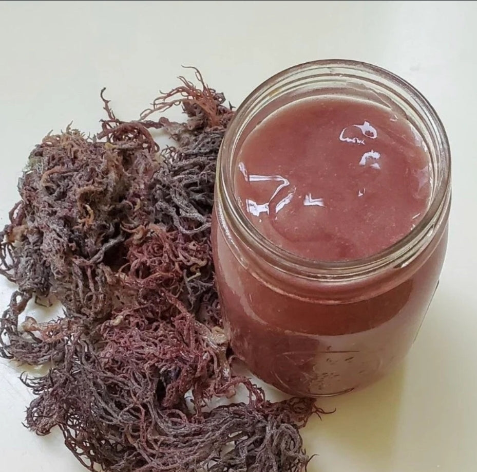 Carrot Juice, Shea Butter & Sea moss Soap
